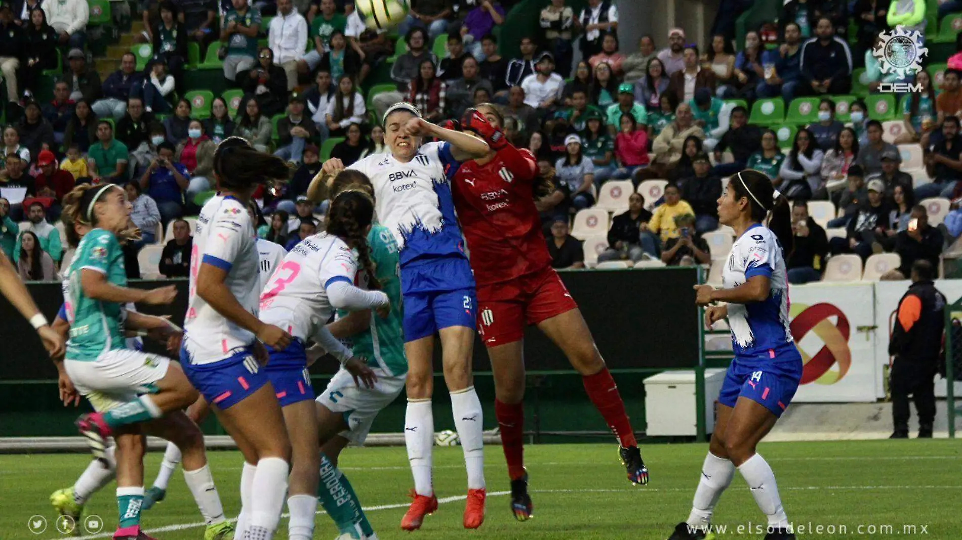 león-femenil (6)